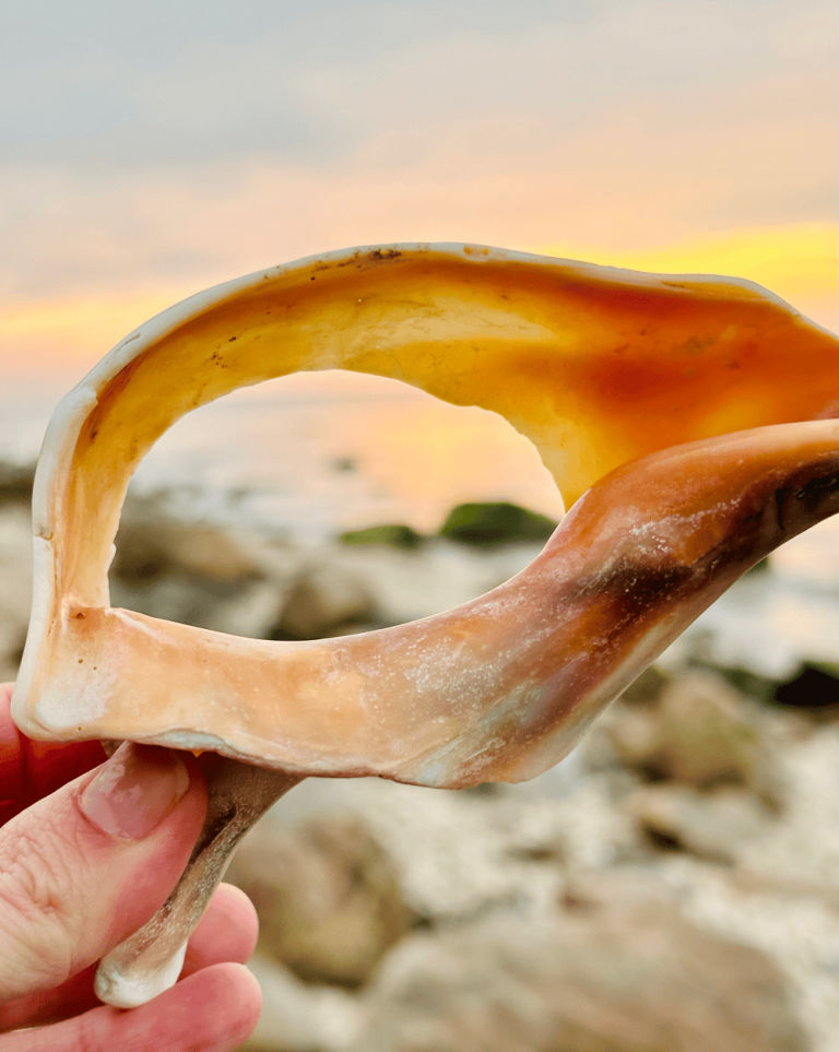 Long Island: 5 Things To Do in Winter & Spring
