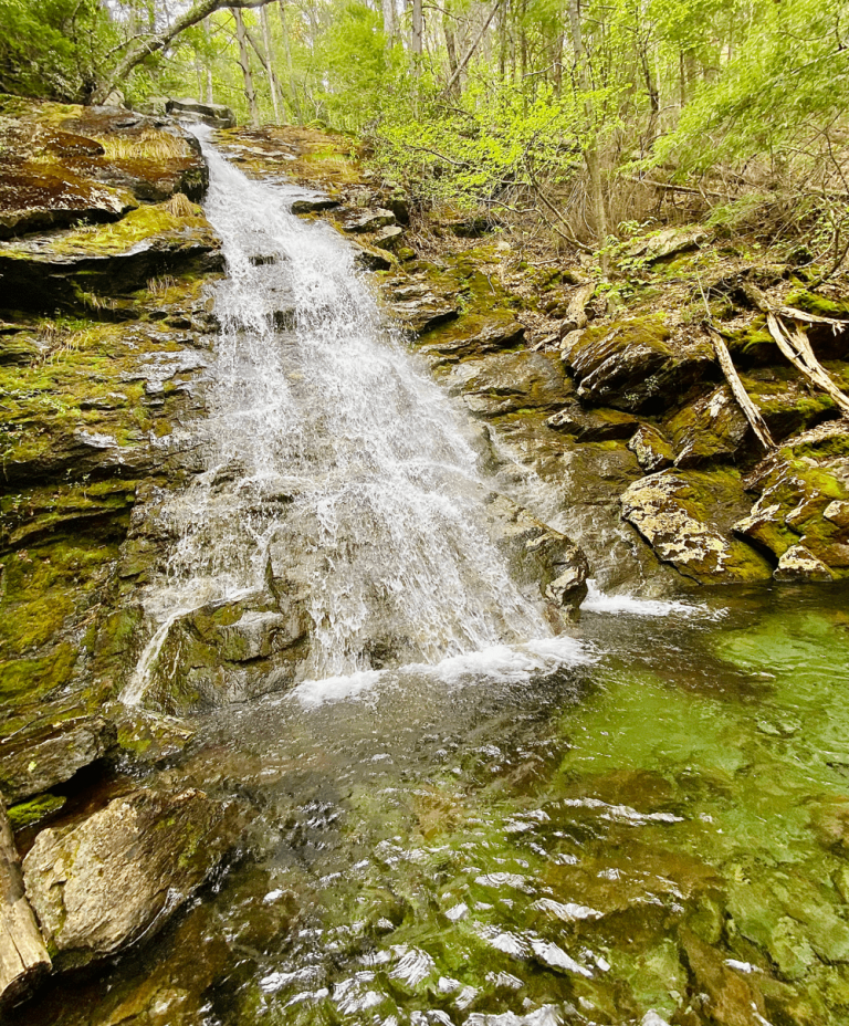Experiencing Berkshires’ Tropical Jungle: Race Brook Falls Trail