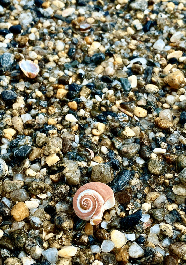 Short Beach Park photo spot