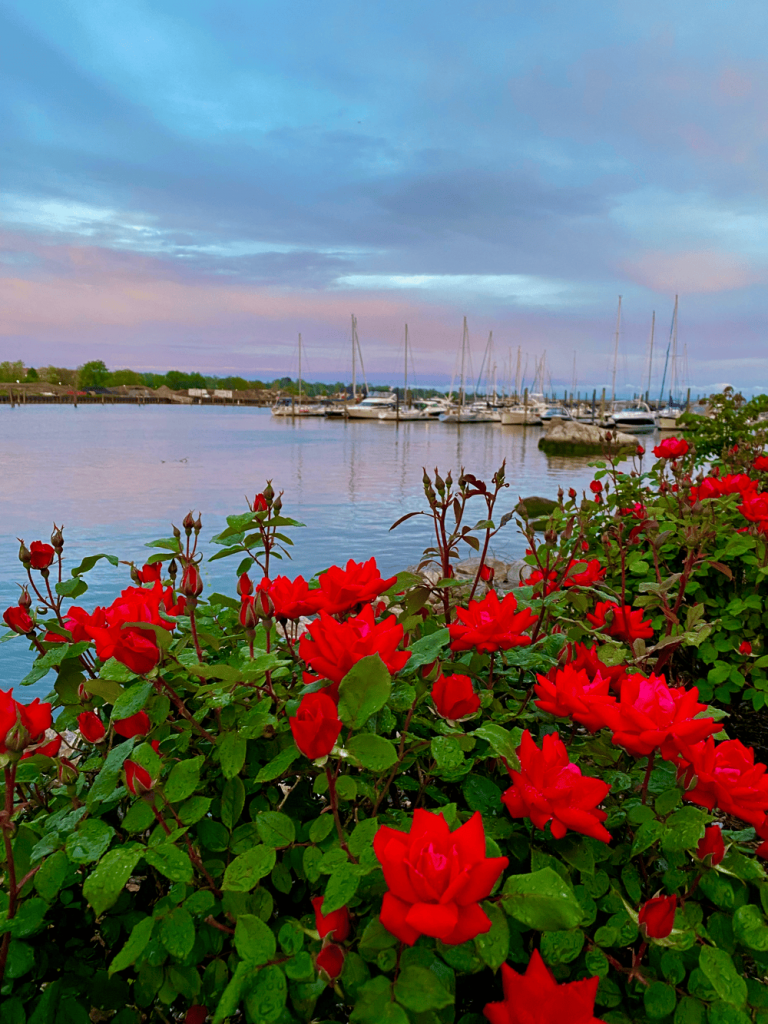 Harbor Point at Stamford Harbor photo spot