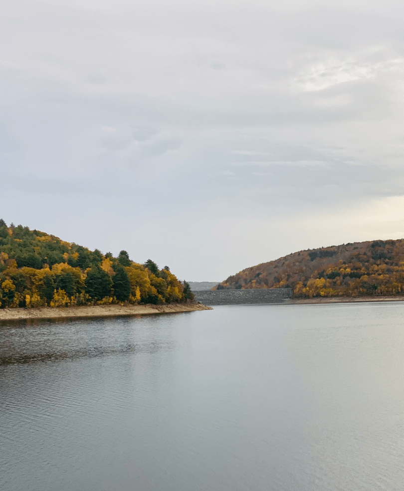 West Branch (Hogsback) Reservoir foliage photo spot