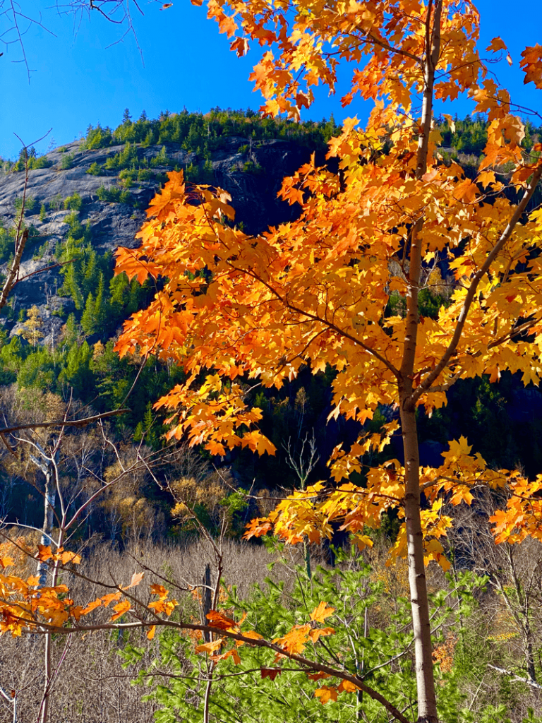Adirondack region fall colors