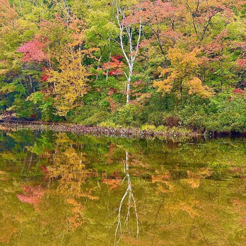 Adirondack NY foliage - reflection