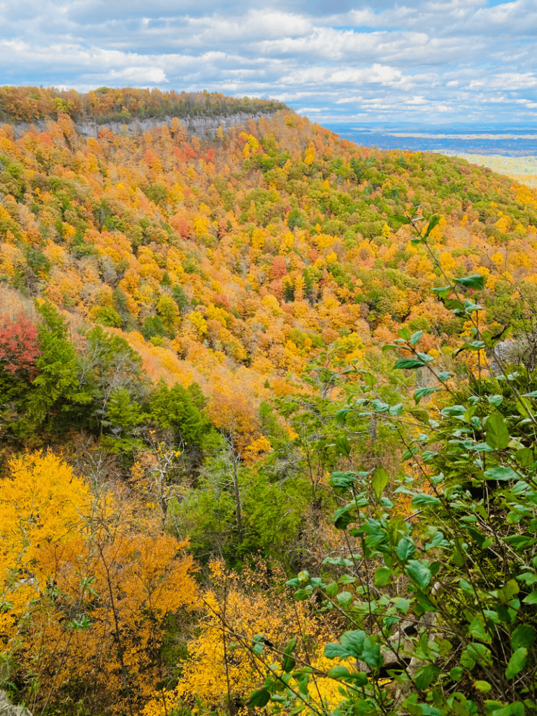 NY Fall Foliage: the Indian Ladder Trail in Thacher State Park