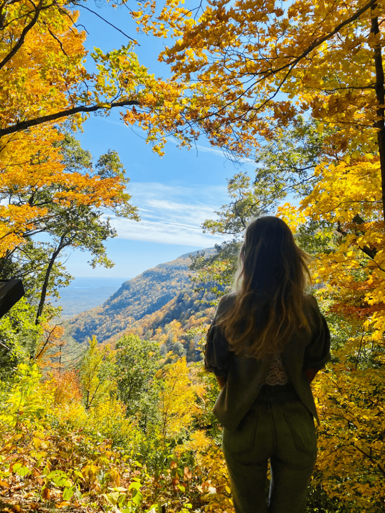 NY Fall Colors: How to Prolong Your NY Foliage Season to See More Of It