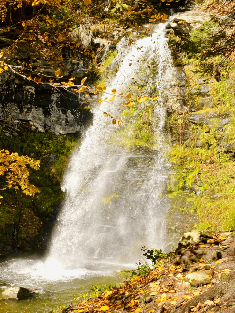 Plattekill Falls, NY, foliage