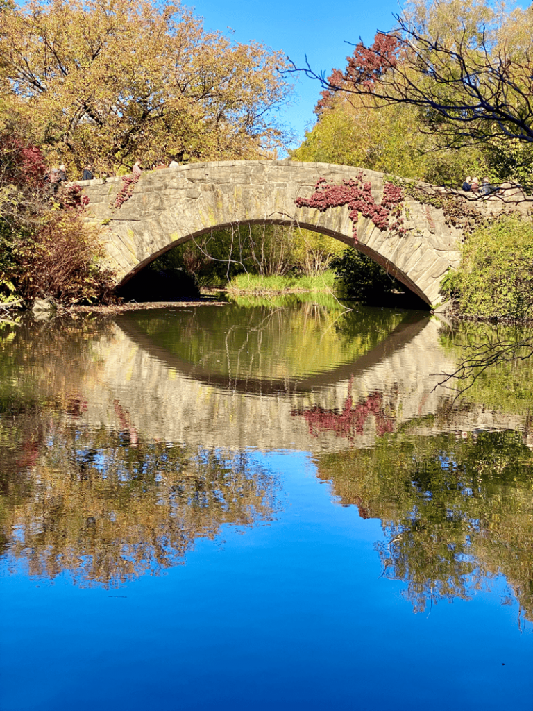 Central park NYC foliage