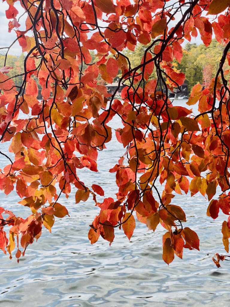 Lake George NY foliage