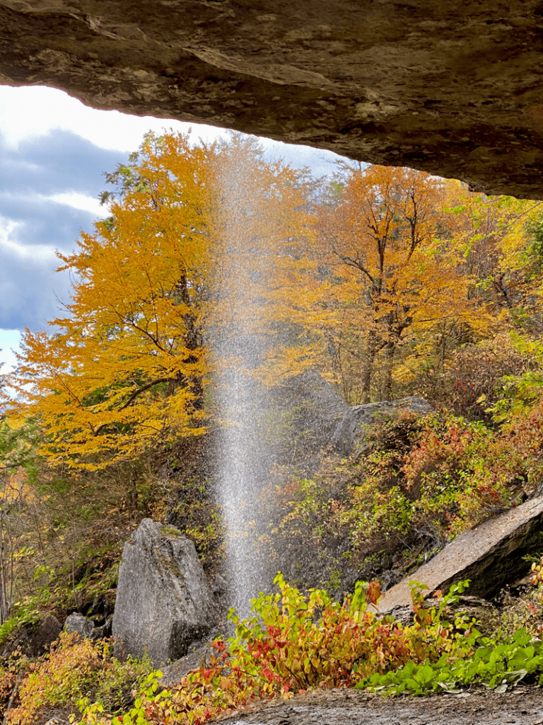 Thacher State Park NY foliage